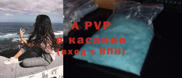 амф Белокуриха