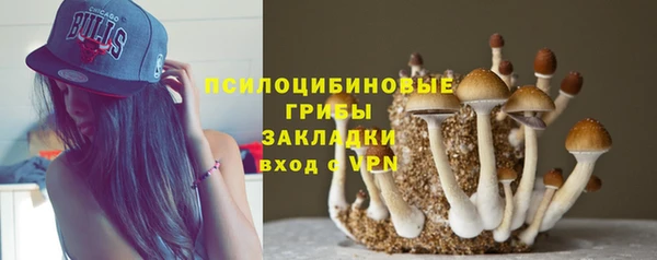 мет Богданович